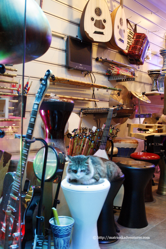Pisica intr-un magazin muzical Istanbul