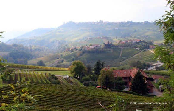 Priveliste panoramica Langhe Piemonte Italia